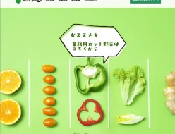 株式会社 トーヨー